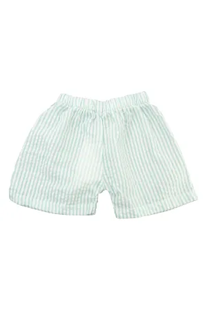 Boys Mint Seersucker Shorts