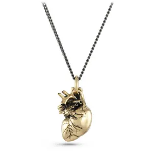 Bronze Anatomical Heart Necklace