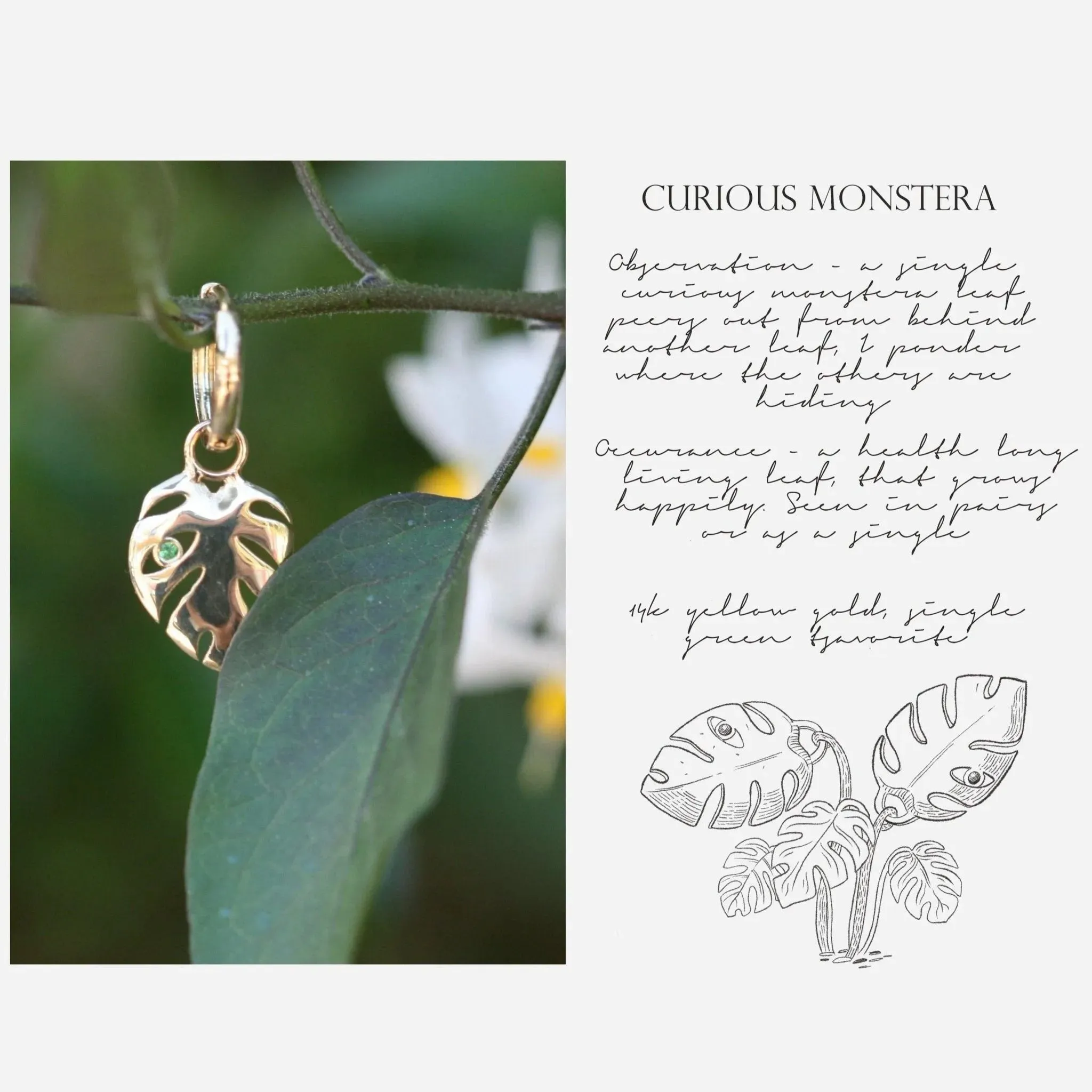 Curious Monstera Charm