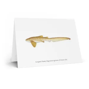 Leopard Shark Greeting Card