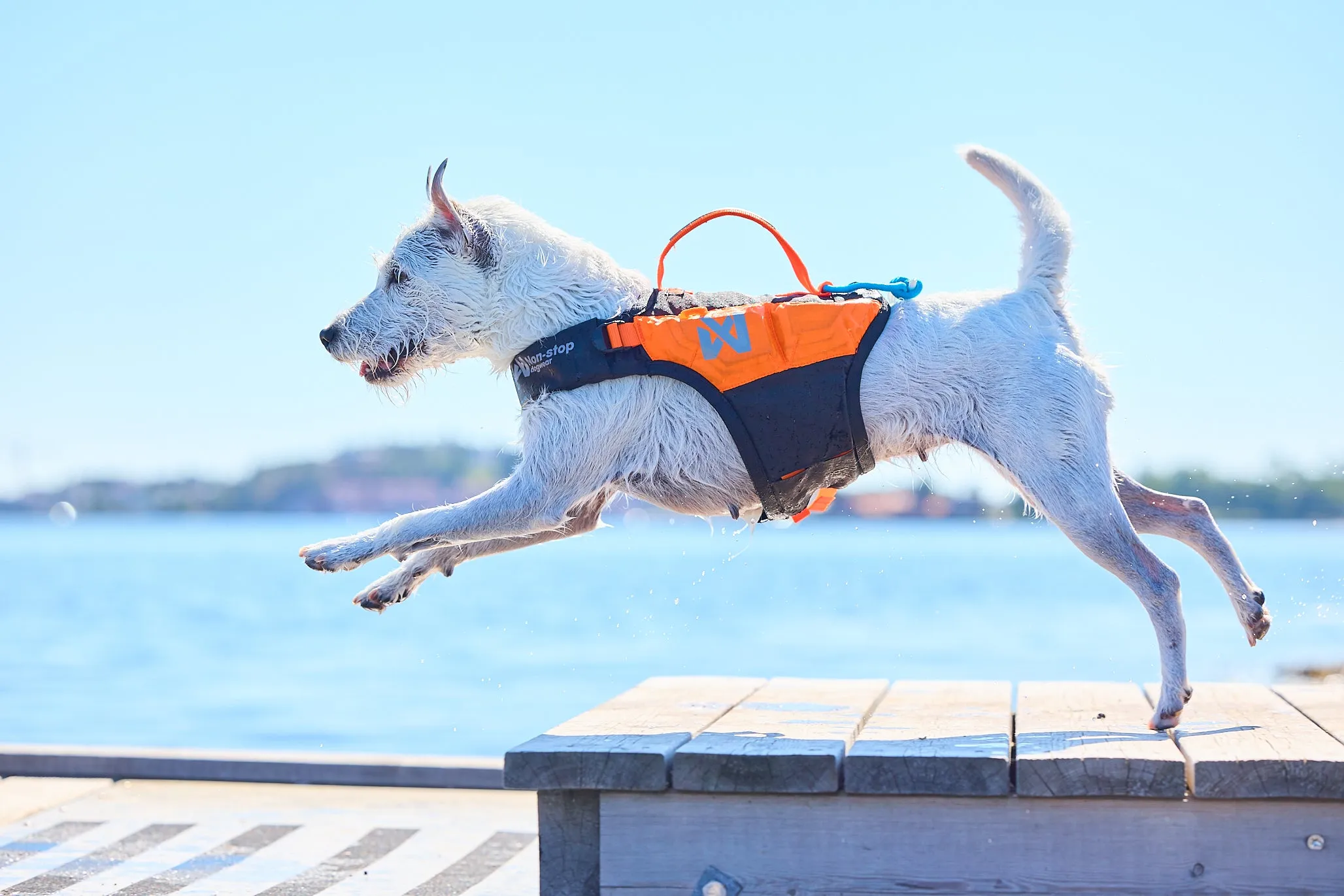 Non-Stop Dog Wear: Protector Life Jacket